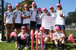 Flamingos flock to Pearcedale