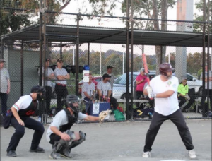 Softball returns