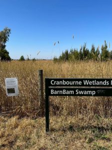 Revamping crucial wetlands