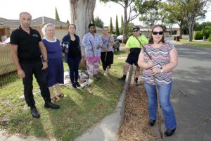 Nuisance trees despised