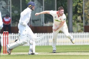 Seasons over for Swans, Panthers