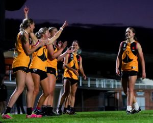Behind the scenes at Shepley Oval