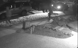 Witness appeal for armed carjacking