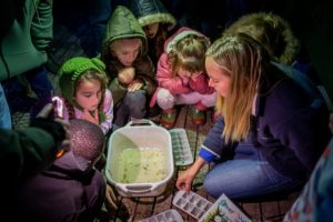 Celebrating biodiversity in Casey