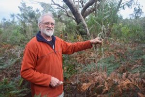 Weeding out invasive species