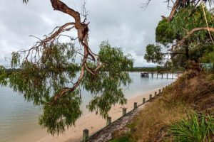 Coastal volunteers needed