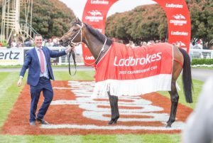 Excitement builds for Cranbourne Cup
