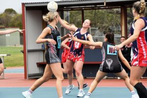 Seagulls rise to the challenge