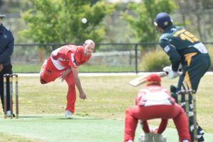 Cobras to climb from the ashes