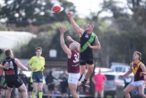 Premiership heroes, seasoned campaigners, rising stars: the best of Southern