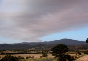 Prescribed burn in Warneet