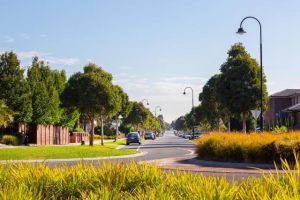 Electoral structure review begins for Casey council