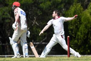 Bullants march to a thrashing