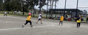 Softball results wrap