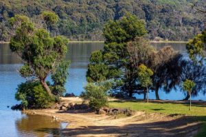 Coroner makes safety plea