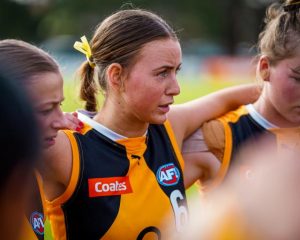 The game which turned a Stingray’s season