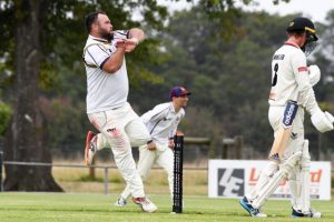 Tormey torment for Bulls