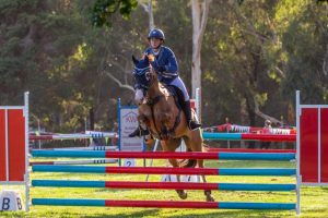 175th Berwick Show a triumph
