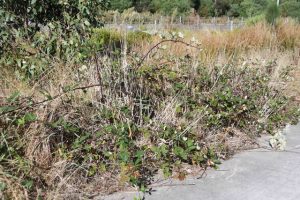 Path maintenance concern