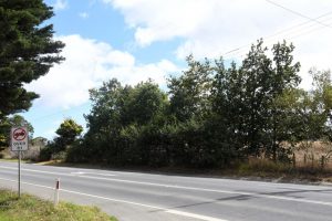Place of worship proposed on Green Wedge