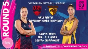 Demons and Hawks come together for a great cause