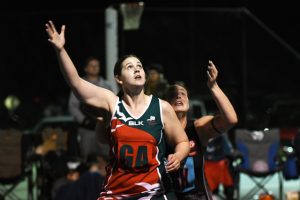 Cobras shine under lights