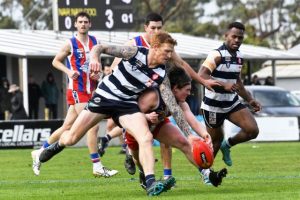 Contenders set for a cracker