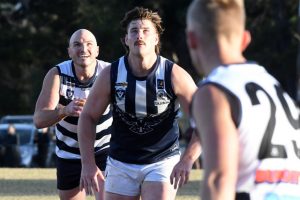 Pearcedale go down in tight battle