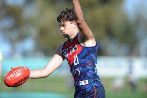Casey come up short in VFL cliffhanger