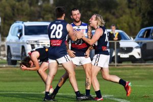 Panthers on the right path