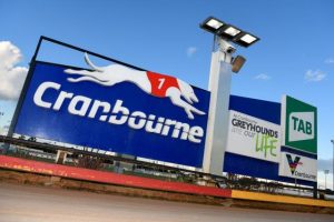 Cranbourne greyhounds in ‘limbo’
