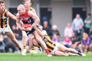 Demons falter in the Queensland heat
