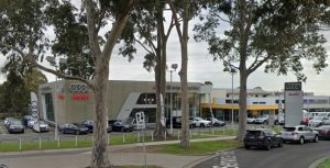 Car dealer fined for ‘unique’ trees’ removal