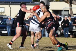 Panthers hitting form
