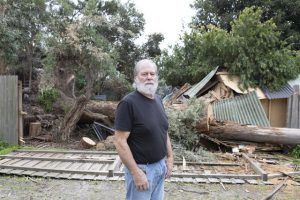 Gum tree devastates shelter