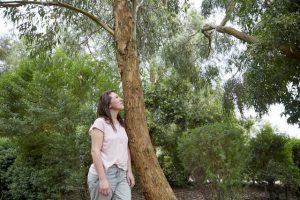 Forest Therapy at Royal Botanic Gardens Cranbourne returns