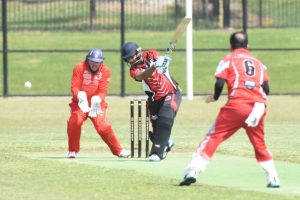 Bulls too resilient for Cobras