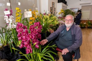 Orchid show a success