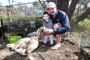 Milestone for Blind Bight