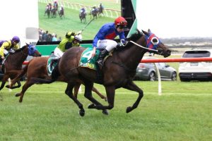 Seccombe lands winning treble at Woolamai