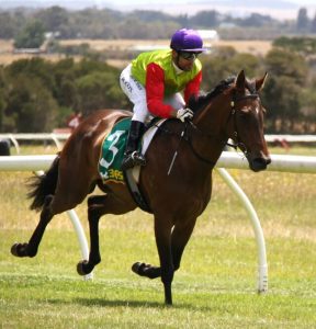 Whirlwind heads for Woolamai
