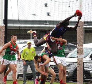 Seagulls dump the Dusties