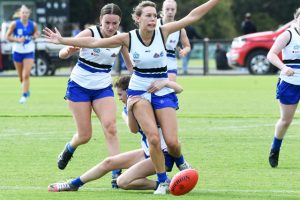 Lions edge out brave Tigers