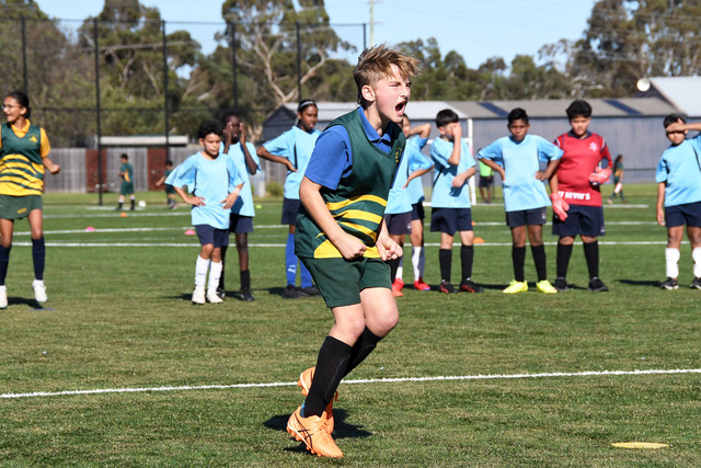wadecup_475626_01.jpg