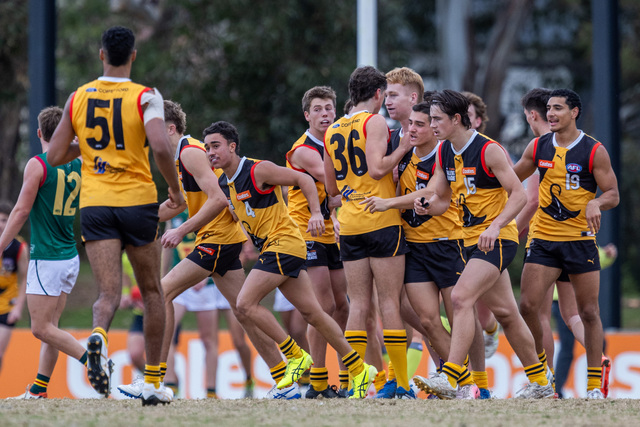 Positives despite losses for Stingrays