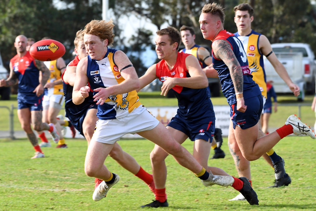 Soaring Sea Eagles hold on