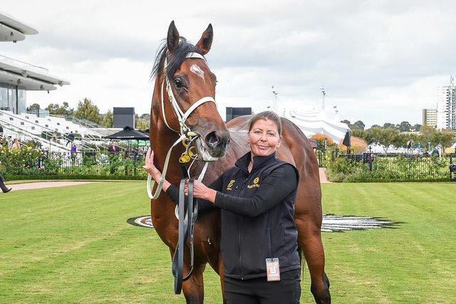 Stable worker dies after horse incident at Cranbourne Training Centre