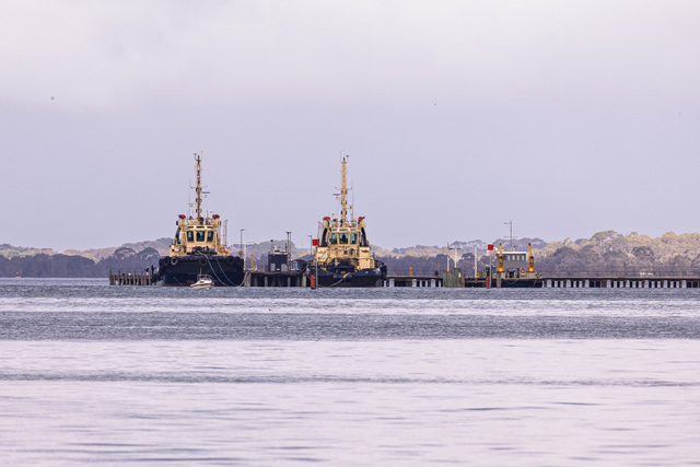 Hastings Terminal plan sparks fresh jobs vs environment row