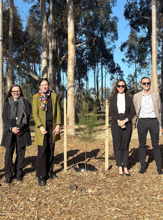Tiny Towns Fund delivers upgrades in Tooradin and Warneet
