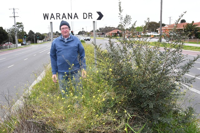 Hampton Park resident frustrated after 18 months of neglected median strip